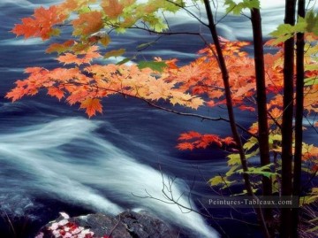De Photos réalistes œuvres - Feuilles d’érable rouge rivière peinture à partir de Photos à Art
